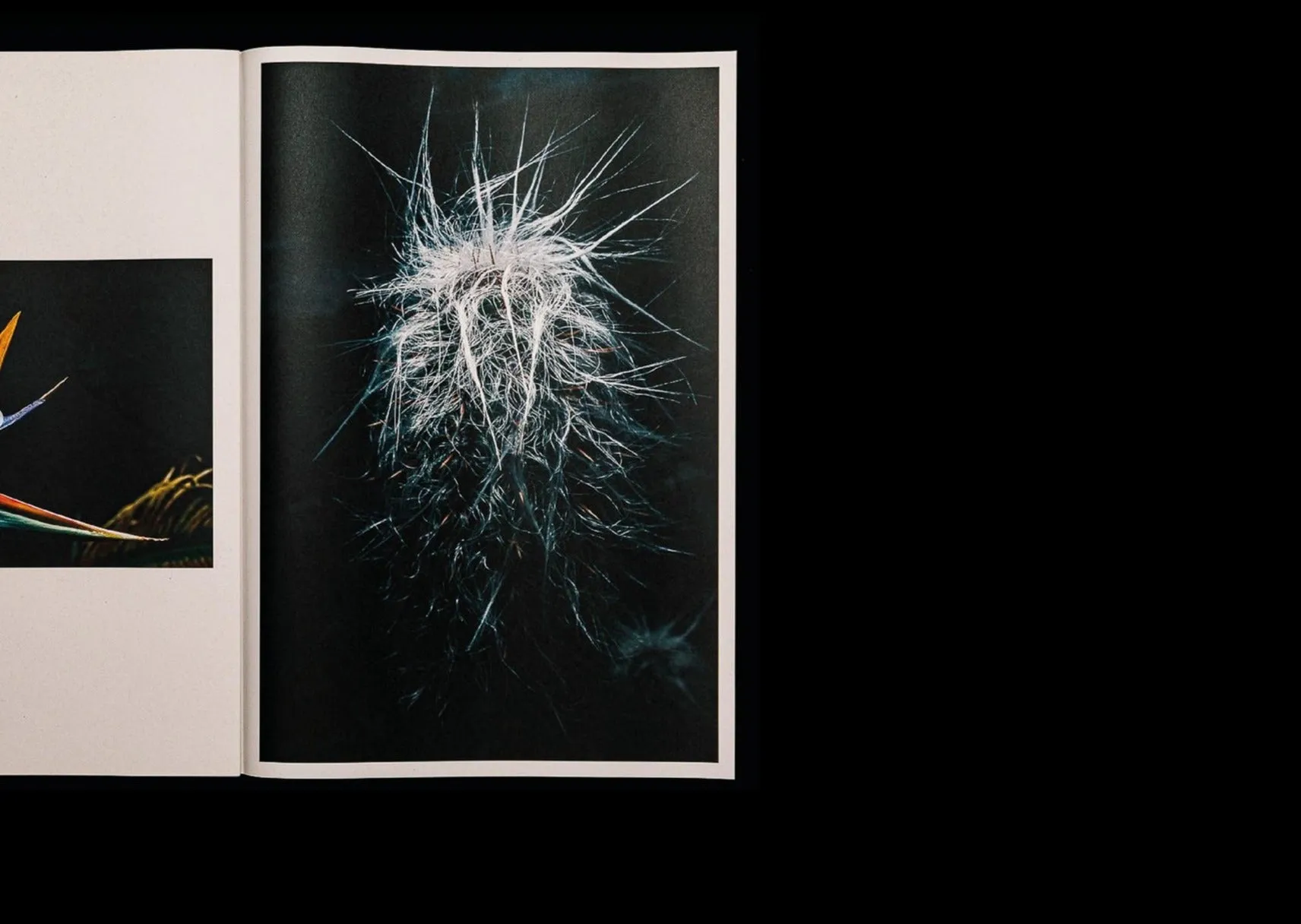 Botanical Thriller