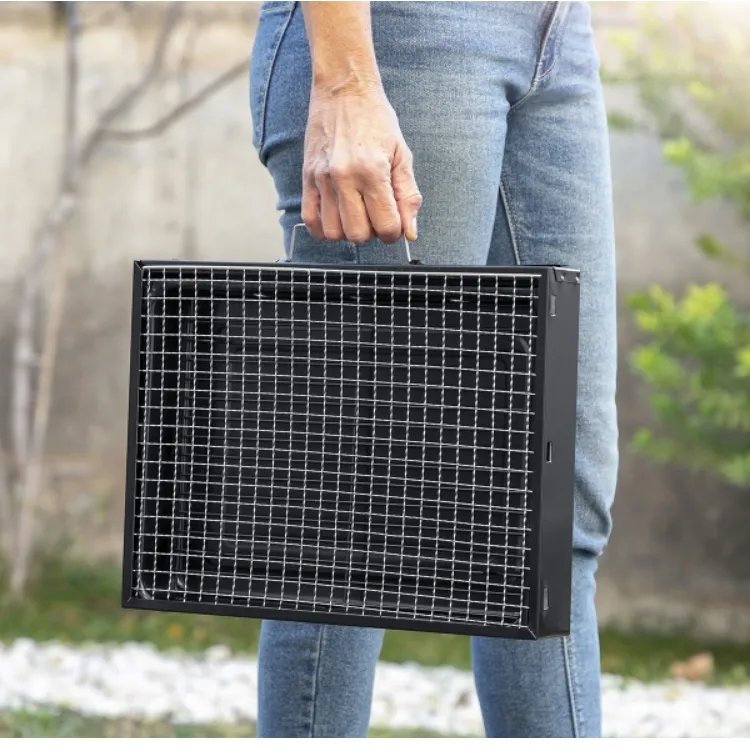 Folding Portable Barbecue for use with Charcoal BearBQ InnovaGoods